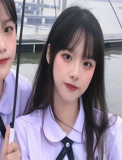 推荐：《红壳的潘多拉》故事脉络梳理：主线与支线情节完整解读